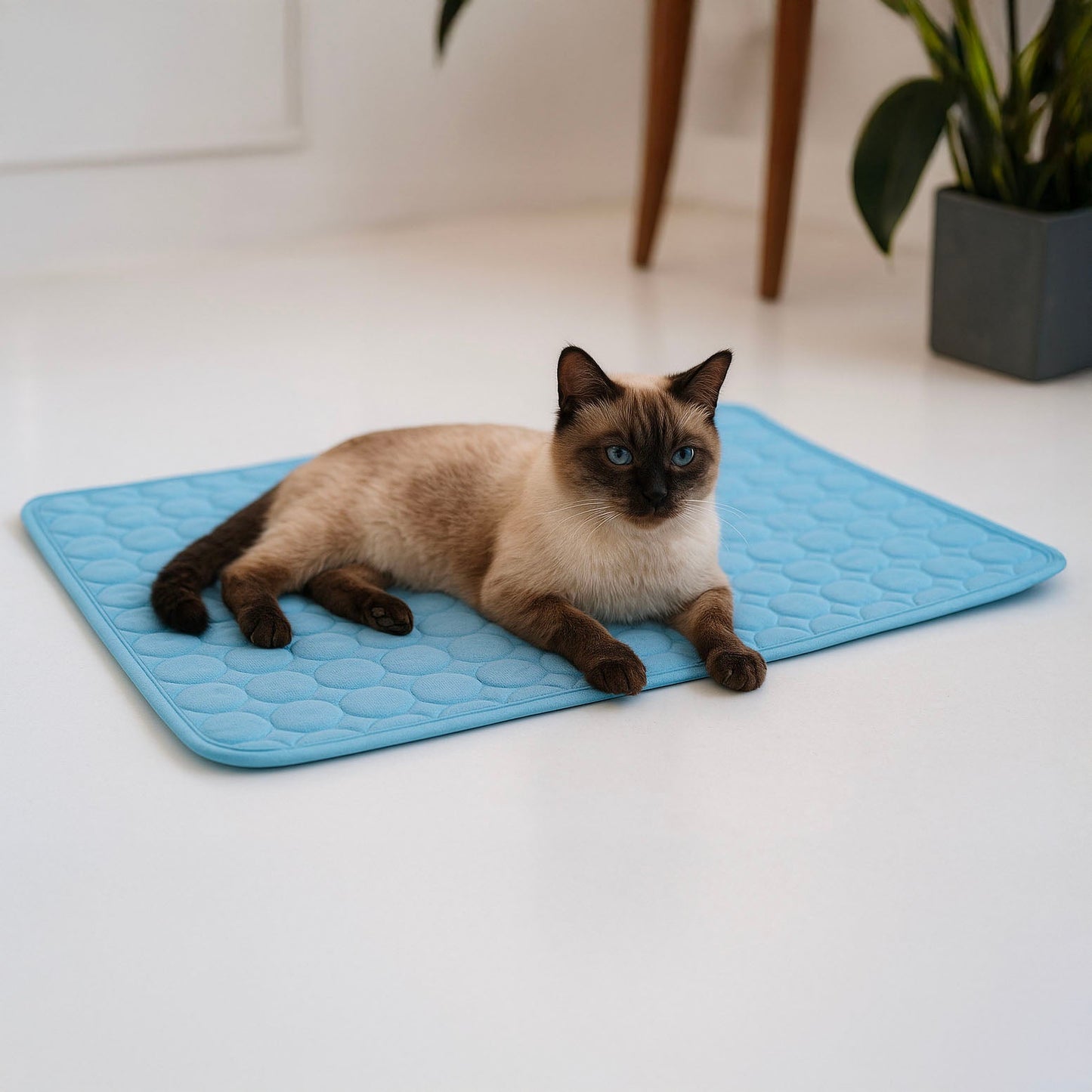 Tappetino Refrigerante per cani e gatti